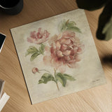 Coral Rose on Antique Linen Light by Cheri Blum. Shown as a detailed flat fine art print, highlighting archival giclee quality. Available as an archival giclee rolled canvas, fine art paper, or poster print. SKU 90525a.
