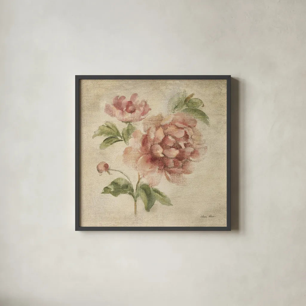 Coral Rose on Antique Linen Light by Cheri Blum. Shown in a sleek black glass frame for a contemporary gallery look. Available as an archival giclee rolled canvas, fine art paper, or poster print. SKU 90525a.