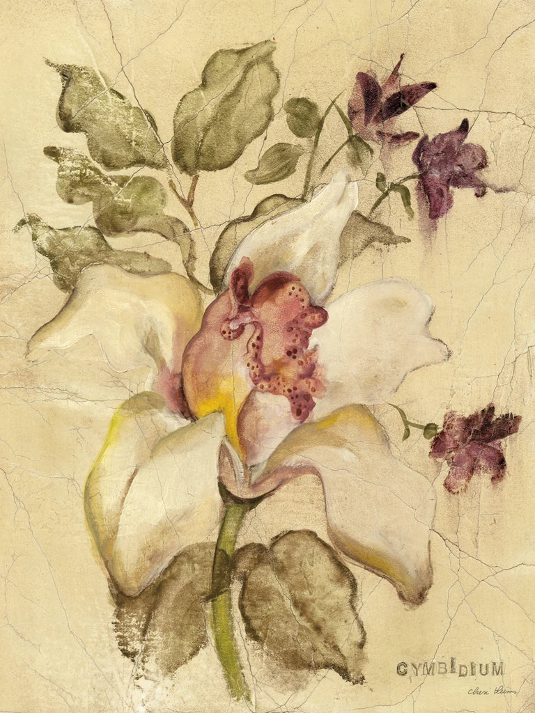 Cymbidium by Cheri Blum