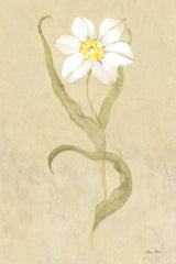 Dancing Bulbs III by Cheri Blum. SKU 8261h. Archival Giclee Fine art print for wall decor.