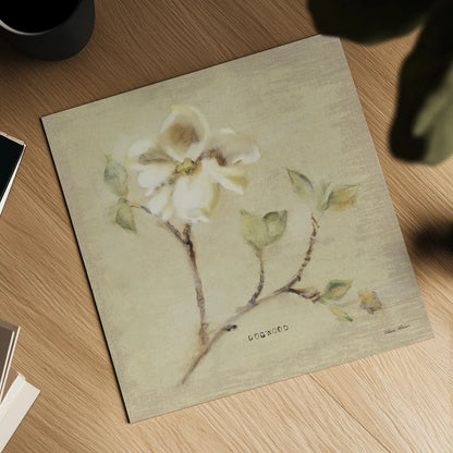 Dogwood Blossom by Cheri Blum. Shown as a detailed flat fine art print, highlighting archival giclee quality. Available as an archival giclee rolled canvas, fine art paper, or poster print. SKU 7020a.