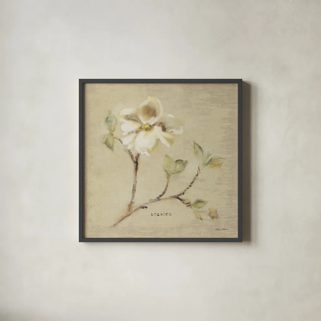 Dogwood Blossom by Cheri Blum. Shown in a sleek black glass frame for a contemporary gallery look. Available as an archival giclee rolled canvas, fine art paper, or poster print. SKU 7020a.
