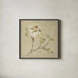 Dogwood Blossom by Cheri Blum. Shown in a sleek black glass frame for a contemporary gallery look. Available as an archival giclee rolled canvas, fine art paper, or poster print. SKU 7020a.