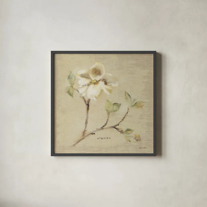 Dogwood Blossom by Cheri Blum. Shown in a sleek black glass frame for a contemporary gallery look. Available as an archival giclee rolled canvas, fine art paper, or poster print. SKU 7020a.