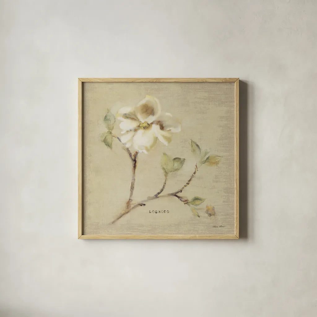 Dogwood Blossom by Cheri Blum. Shown in a natural wood glass frame for a timeless modern aesthetic. Available as an archival giclee rolled canvas, fine art paper, or poster print. SKU 7020a.