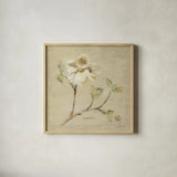 Dogwood Blossom by Cheri Blum. Shown in a natural wood glass frame for a timeless modern aesthetic. Available as an archival giclee rolled canvas, fine art paper, or poster print. SKU 7020a.