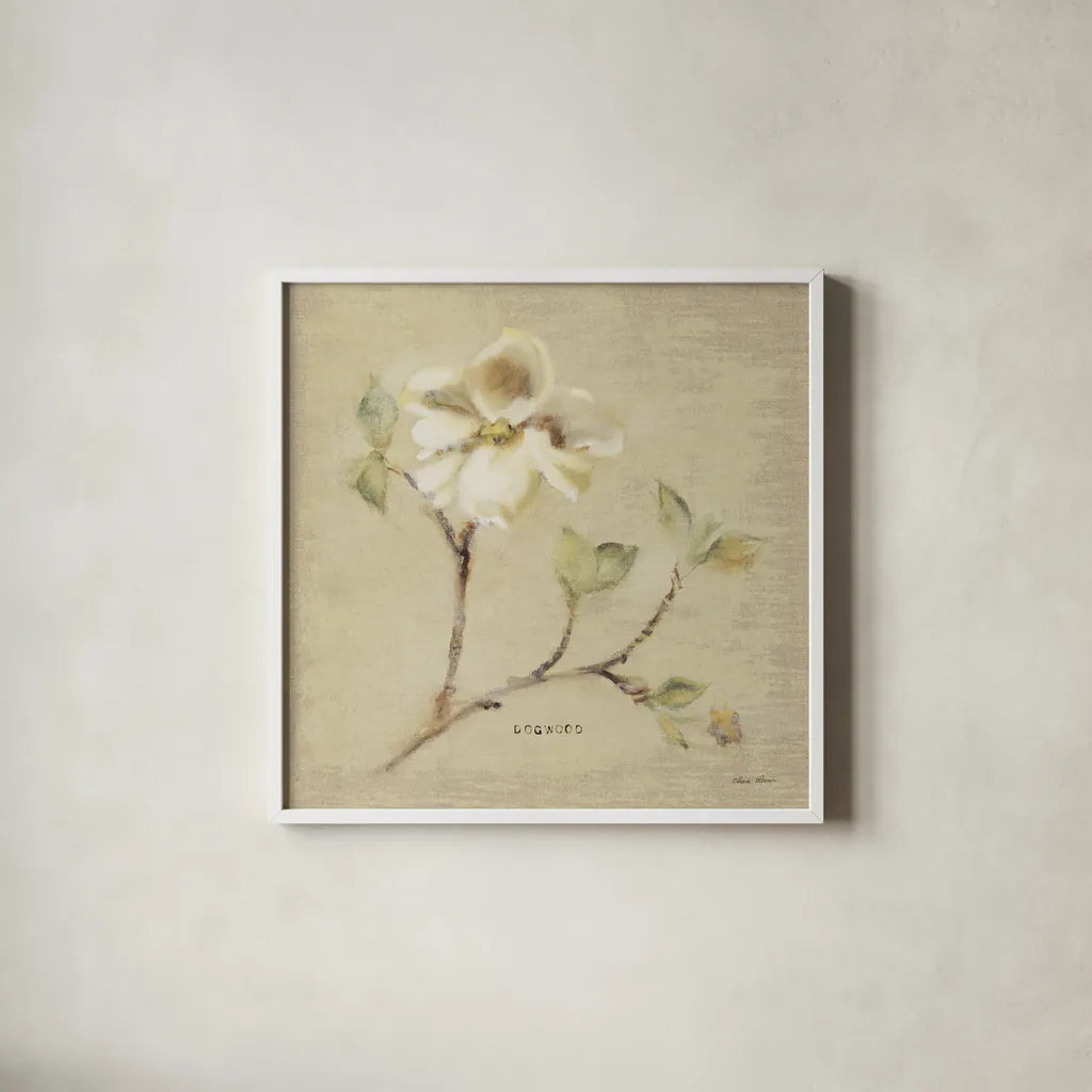 Dogwood Blossom by Cheri Blum. Shown in a crisp white glass frame for a clean and minimalist style. Available as an archival giclee rolled canvas, fine art paper, or poster print. SKU 7020a.