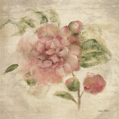 Dusty Pink Rose on Antique Linen Light by Cheri Blum. SKU 90528a. Archival Giclee Fine art print for wall decor.