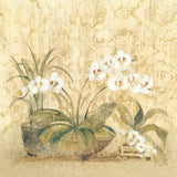 Espirit Orchid by Cheri Blum. SKU 8115a. Archival Giclee Fine art print for wall decor.