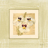 Exotic Floral I by Cheri Blum. SKU 8228a. Archival Giclee Fine art print for wall decor.