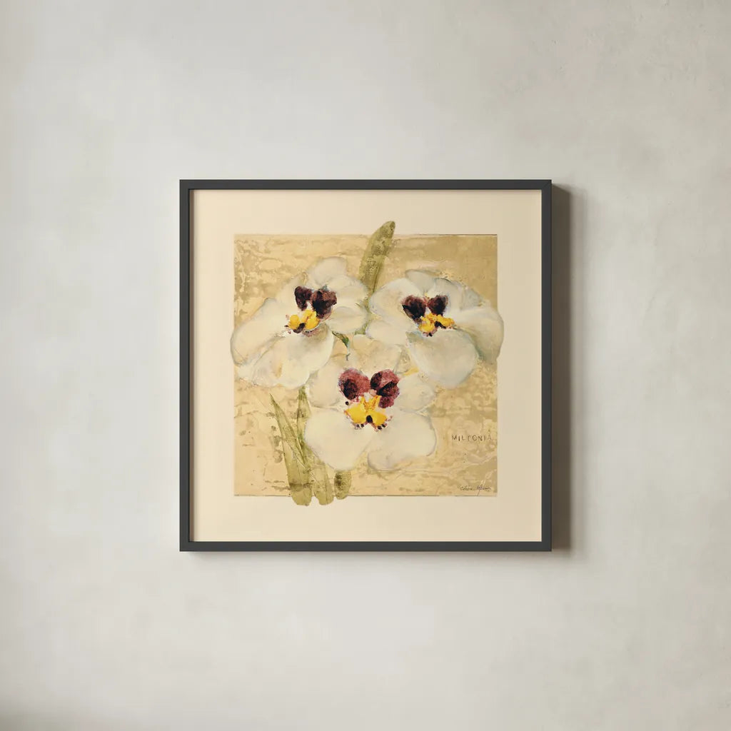 Exotic Floral I Crop by Cheri Blum. Shown in a sleek black glass frame for a contemporary gallery look. Available as an archival giclee rolled canvas, fine art paper, or poster print. SKU 88529a.