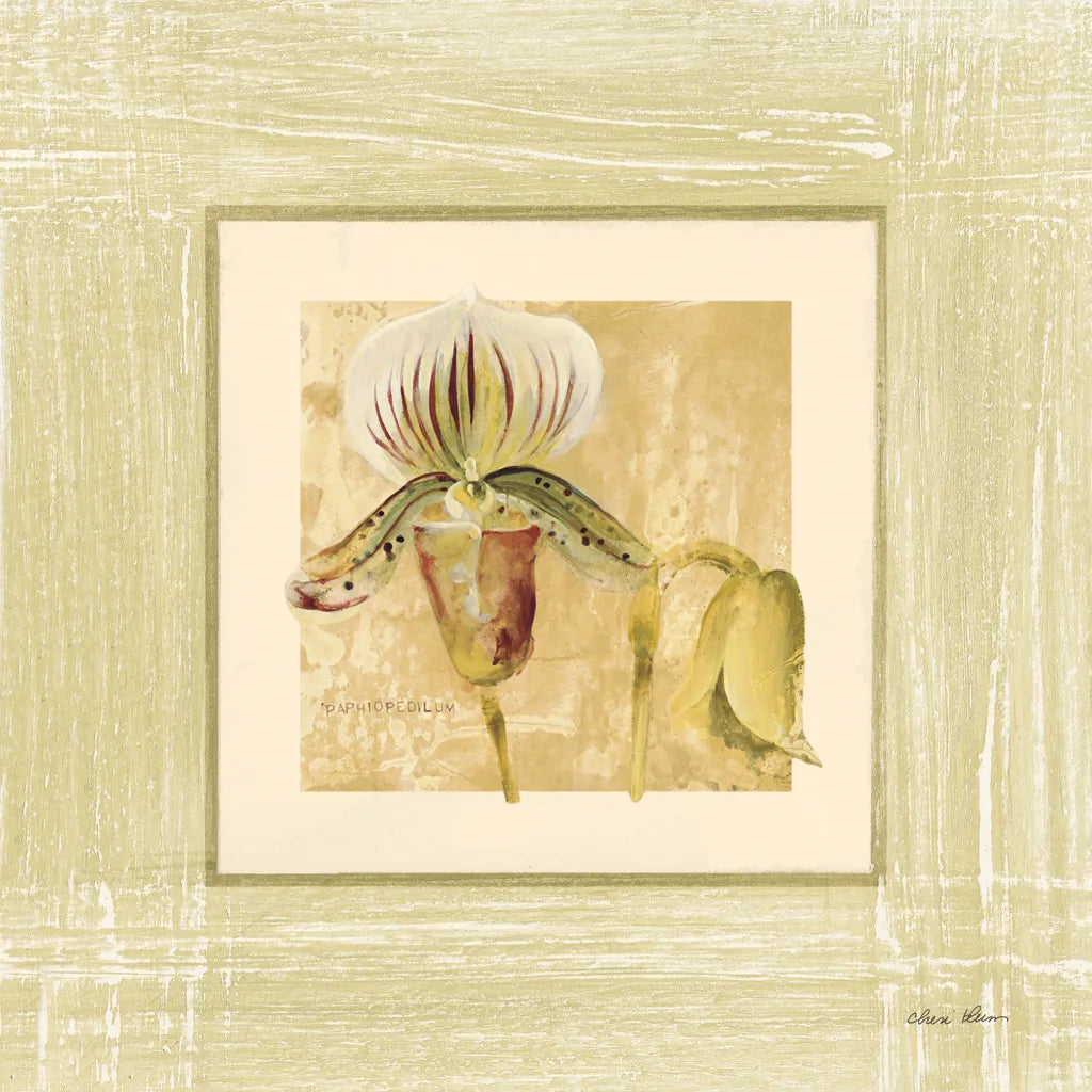 Exotic Floral II by Cheri Blum. SKU 8229a. Archival Giclee Fine art print for wall decor.