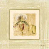 Exotic Floral II by Cheri Blum. SKU 8229a. Archival Giclee Fine art print for wall decor.