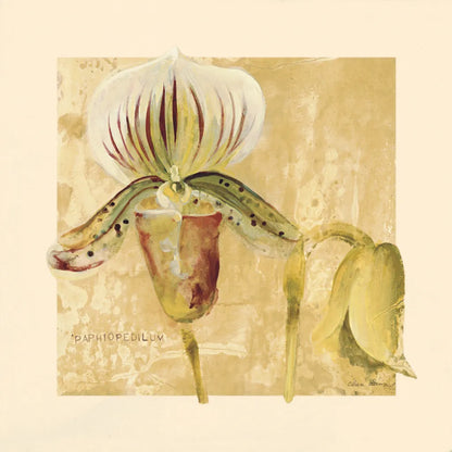Exotic Floral II Crop by Cheri Blum. SKU 88530a. Archival Giclee Fine art print for wall decor.