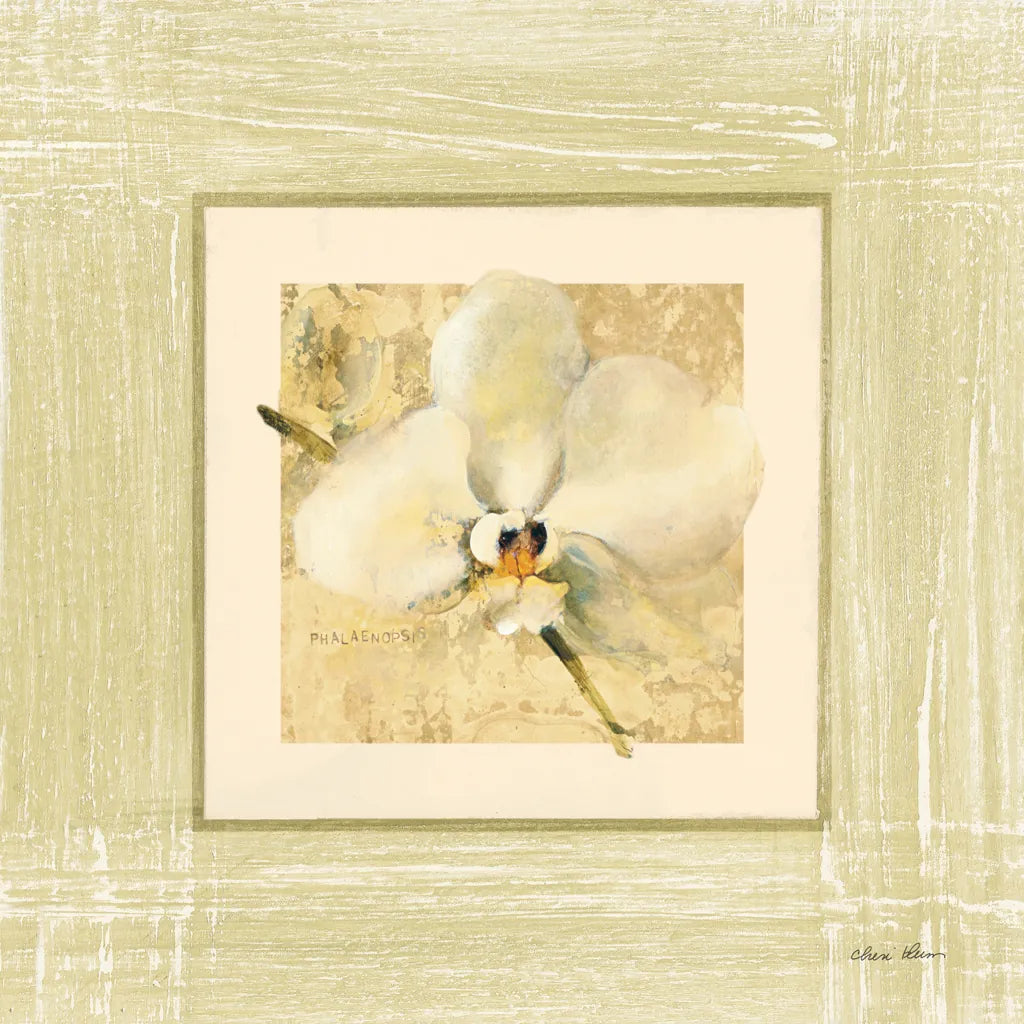 Exotic Floral III by Cheri Blum. SKU 8230a. Archival Giclee Fine art print for wall decor.