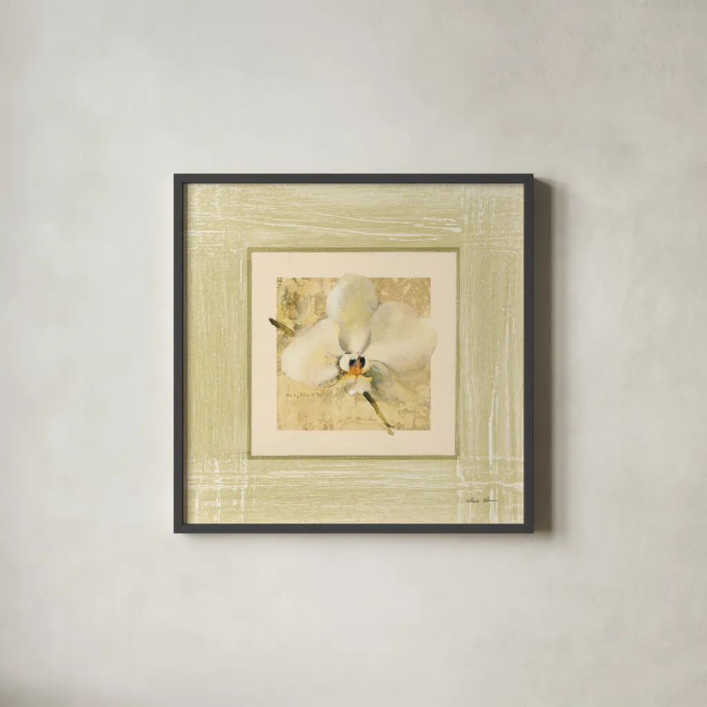 Exotic Floral III by Cheri Blum. Shown in a sleek black glass frame for a contemporary gallery look. Available as an archival giclee rolled canvas, fine art paper, or poster print. SKU 8230a.