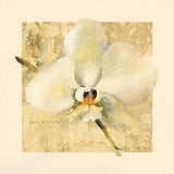 Exotic Floral III Crop by Cheri Blum. SKU 88531a. Archival Giclee Fine art print for wall decor.