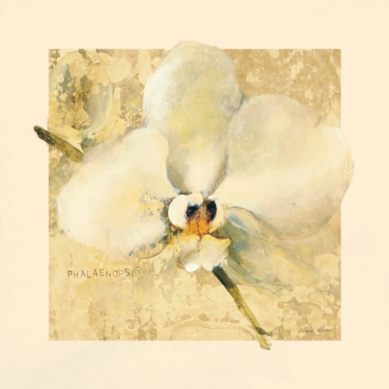 Exotic Floral III Crop by Cheri Blum. SKU 88531a. Archival Giclee Fine art print for wall decor.