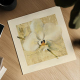 Exotic Floral III Crop by Cheri Blum. Shown as a detailed flat fine art print, highlighting archival giclee quality. Available as an archival giclee rolled canvas, fine art paper, or poster print. SKU 88531a.