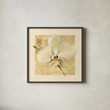 Exotic Floral III Crop by Cheri Blum. Shown in a sleek black glass frame for a contemporary gallery look. Available as an archival giclee rolled canvas, fine art paper, or poster print. SKU 88531a.
