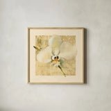 Exotic Floral III Crop by Cheri Blum. Shown in a natural wood glass frame for a timeless modern aesthetic. Available as an archival giclee rolled canvas, fine art paper, or poster print. SKU 88531a.