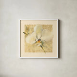 Exotic Floral III Crop by Cheri Blum. Shown in a crisp white glass frame for a clean and minimalist style. Available as an archival giclee rolled canvas, fine art paper, or poster print. SKU 88531a.