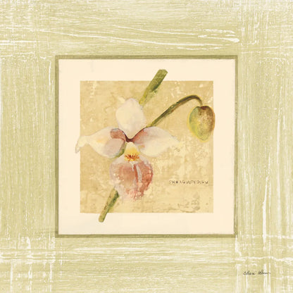 Exotic Floral IV by Cheri Blum. SKU 8231a. Archival Giclee Fine art print for wall decor.