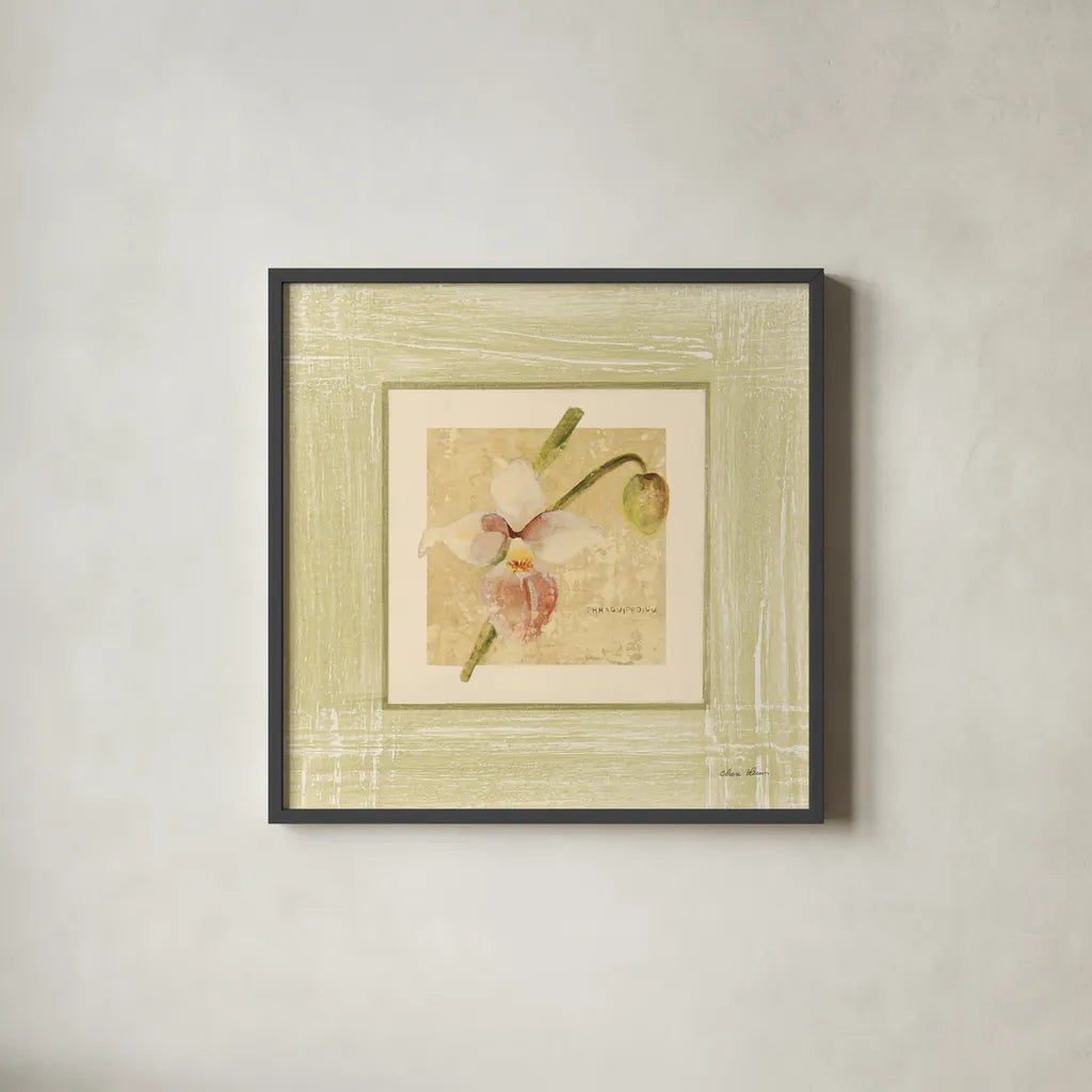 Exotic Floral IV by Cheri Blum. Shown in a sleek black glass frame for a contemporary gallery look. Available as an archival giclee rolled canvas, fine art paper, or poster print. SKU 8231a.