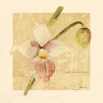 Exotic Floral IV Crop by Cheri Blum. SKU 88532a. Archival Giclee Fine art print for wall decor.