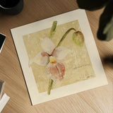 Exotic Floral IV Crop by Cheri Blum. Shown as a detailed flat fine art print, highlighting archival giclee quality. Available as an archival giclee rolled canvas, fine art paper, or poster print. SKU 88532a.