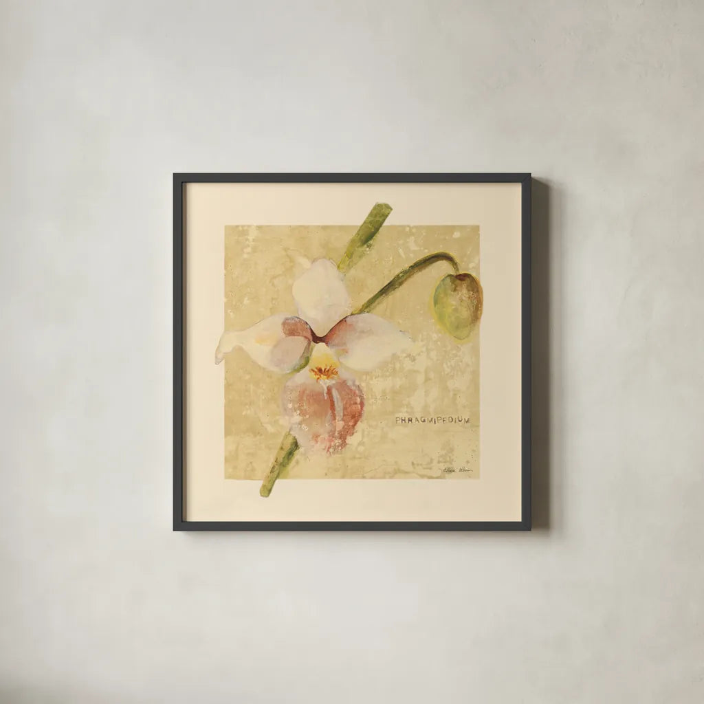 Exotic Floral IV Crop by Cheri Blum. Shown in a sleek black glass frame for a contemporary gallery look. Available as an archival giclee rolled canvas, fine art paper, or poster print. SKU 88532a.