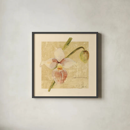 Exotic Floral IV Crop by Cheri Blum. Shown in a sleek black glass frame for a contemporary gallery look. Available as an archival giclee rolled canvas, fine art paper, or poster print. SKU 88532a.
