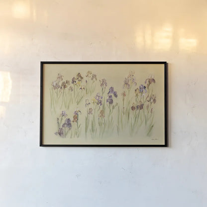 Field of Irises by Cheri Blum. shown as a paper print in a black flame. Available as a archival giclee rolled canvas, fine art paper, or poster print. SKU 7223i.