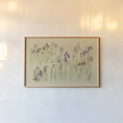 Field of Irises by Cheri Blum. shown as a paper print in a natural frame. Available as a archival giclee rolled canvas, fine art paper, or poster print. SKU 7223i.