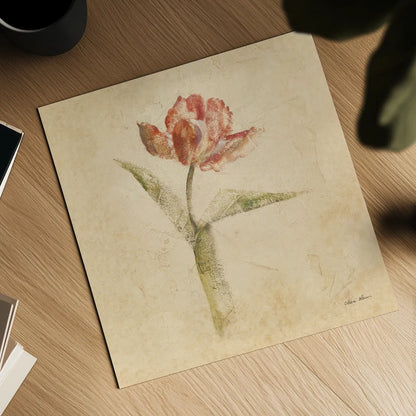 Flaming Parrot Tulip by Cheri Blum. Shown as a detailed flat fine art print, highlighting archival giclee quality. Available as an archival giclee rolled canvas, fine art paper, or poster print. SKU 7350a.