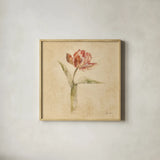 Flaming Parrot Tulip by Cheri Blum. Shown in a natural wood glass frame for a timeless modern aesthetic. Available as an archival giclee rolled canvas, fine art paper, or poster print. SKU 7350a.