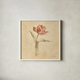 Flaming Parrot Tulip by Cheri Blum. Shown in a crisp white glass frame for a clean and minimalist style. Available as an archival giclee rolled canvas, fine art paper, or poster print. SKU 7350a.