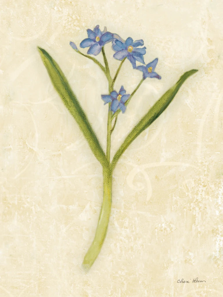Forget Me Not Stem by Cheri Blum