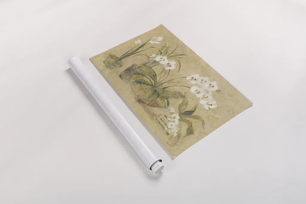 Four Potted Orchids by Cheri Blum. shown as a rolled paper print. Available as archival giclee rolled canvas, fine art paper, or poster print. SKU 6863i.