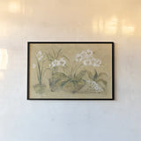 Four Potted Orchids by Cheri Blum. shown as a paper print in a black flame. Available as a archival giclee rolled canvas, fine art paper, or poster print. SKU 6863i.