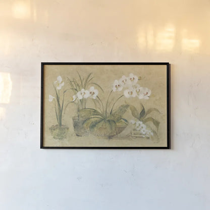 Four Potted Orchids by Cheri Blum. shown as a paper print in a black flame. Available as a archival giclee rolled canvas, fine art paper, or poster print. SKU 6863i.