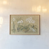 Four Potted Orchids by Cheri Blum. shown as a paper print in a natural frame. Available as a archival giclee rolled canvas, fine art paper, or poster print. SKU 6863i.