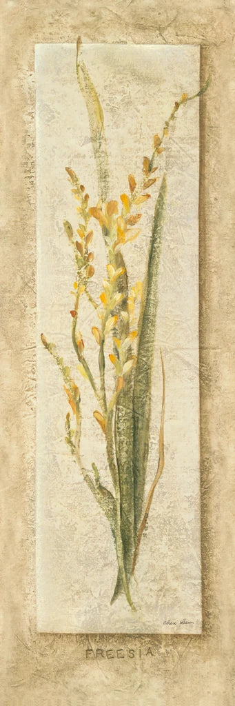 Freesia Panel by Cheri Blum