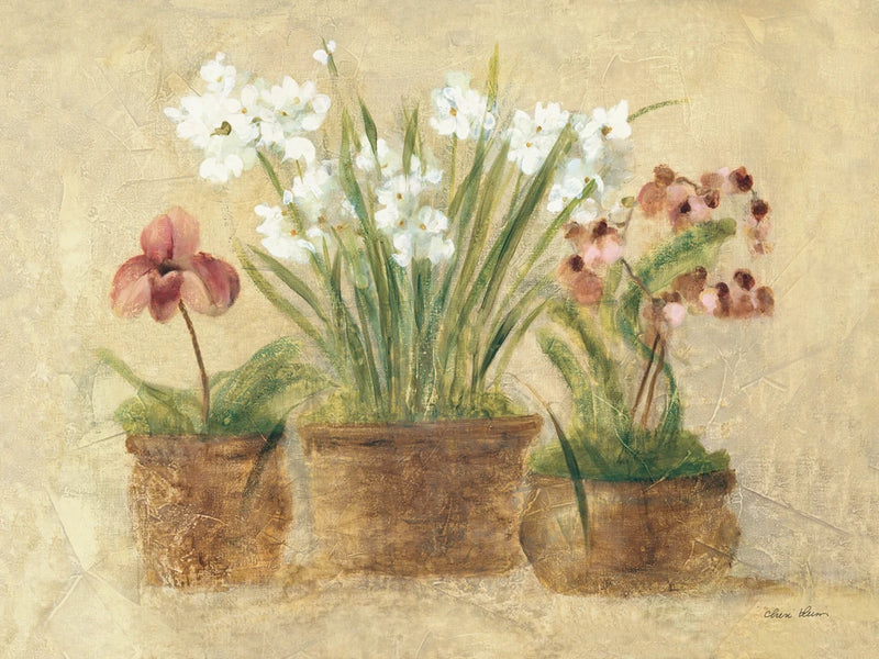Garden Orchid and Narcissus by Cheri Blum