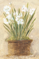 Garden White Narcissus by Cheri Blum. SKU 6942h. Archival Giclee Fine art print for wall decor.