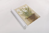 Garden White Narcissus by Cheri Blum. shown as a rolled paper print. Available as archival giclee rolled canvas, fine art paper, or poster print. SKU 6942h.