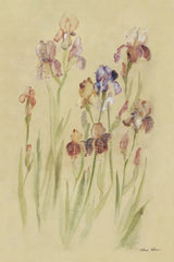 Irises I by Cheri Blum. SKU 7279h. Archival Giclee Fine art print for wall decor.