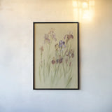 Irises I by Cheri Blum. shown as a paper print in a black flame. Available as a archival giclee rolled canvas, fine art paper, or poster print. SKU 7279h.