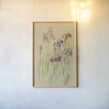 Irises I by Cheri Blum. shown as a paper print in a natural frame. Available as a archival giclee rolled canvas, fine art paper, or poster print. SKU 7279h.