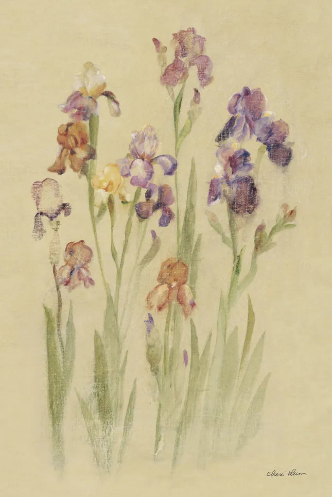 Irises II by Cheri Blum. SKU 7280h. Archival Giclee Fine art print for wall decor.